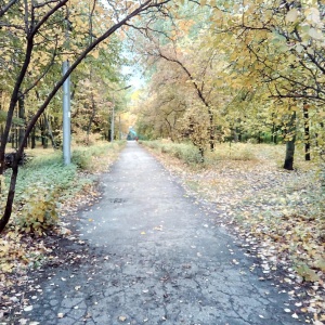 Фото от владельца Семья, городской парк