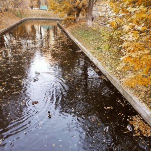 Фото от владельца Красная Пресня, парк культуры и отдыха