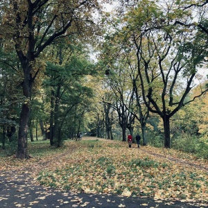 Фото от владельца Южный, ландшафтный парк