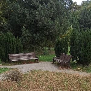 Фото от владельца Ботанический сад им. И.С. Косенко, КубГАУ