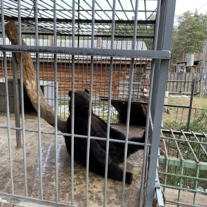 Фото от владельца Этнографический музей народов Забайкалья