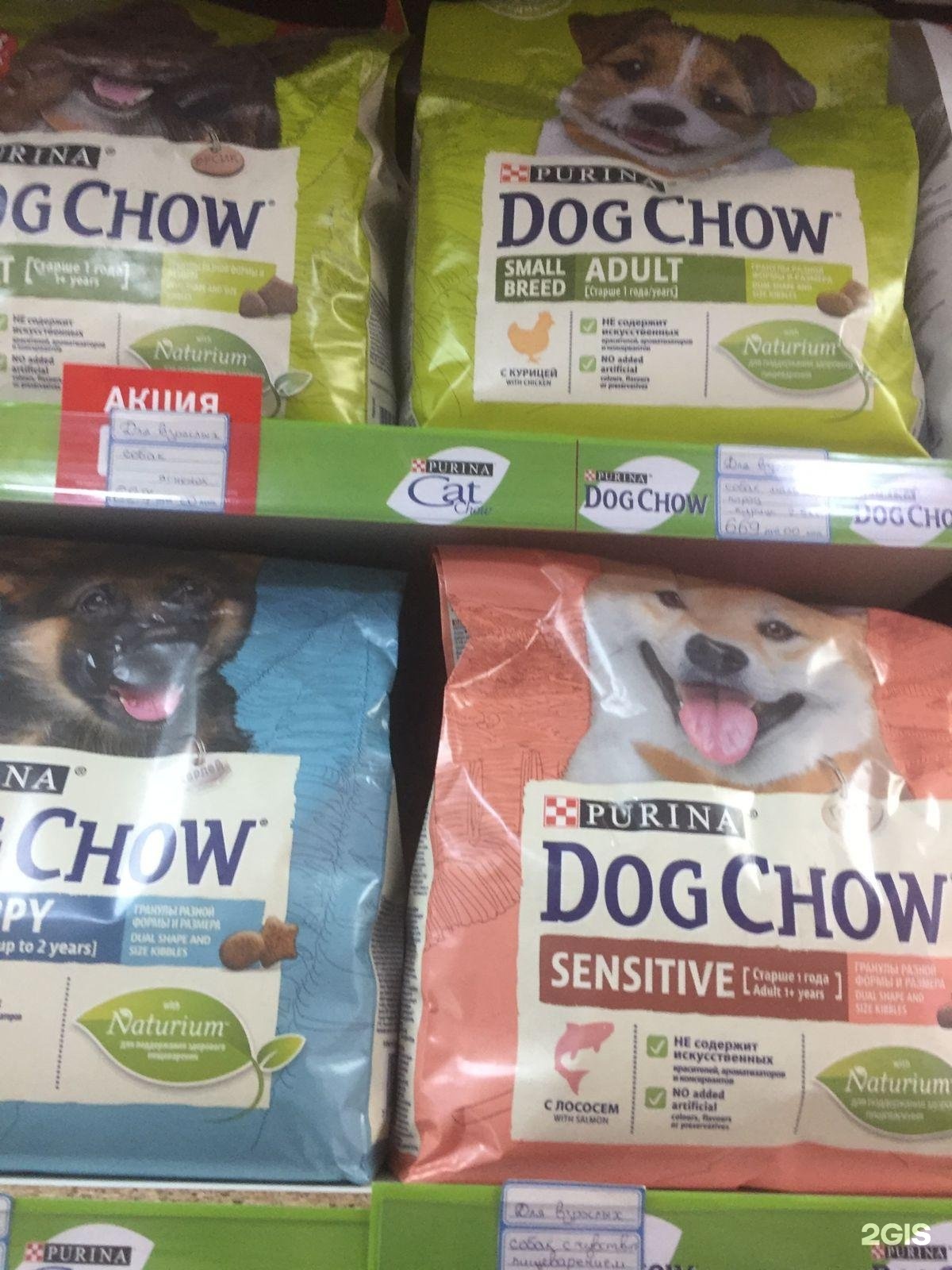 Color ok. Воск Хаус порода собак. Зверский аппетит магазин Калуга цена на корм для собак Dog Chow.