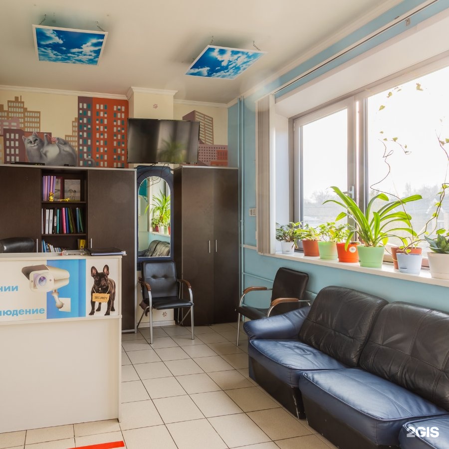 ветдоктор белгород. ветклиника проспект московский 66. ветеринарная клиника заводская 2б. дедовск керамическая ветеринарная клиника. ветдоктор воронеж на остужева.