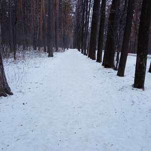 Фото от владельца Екатеринбургский Центральный Парк Культуры и Отдыха им. В.В. Маяковского