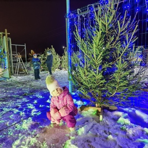 Фото от владельца Елочный базар