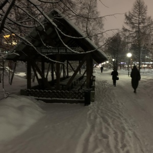 Фото от владельца Центральный парк культуры и отдыха