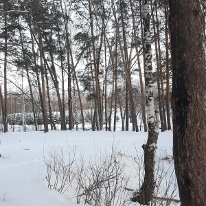 Фото от владельца Политехник, стадион