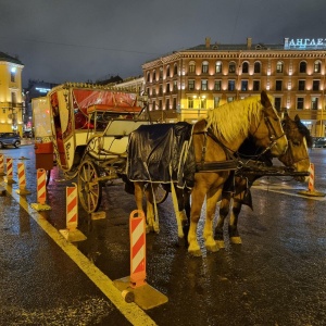 Фото от владельца Исаакиевский собор, государственный музей-памятник