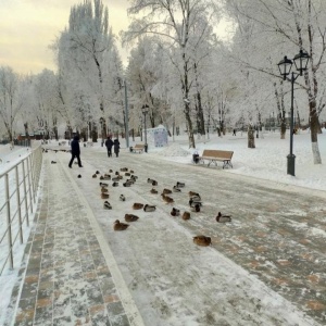 Фото от владельца Парк культуры и отдыха им. 50 лет Октября