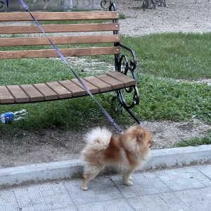 Фото от владельца Дворец детского (юношеского) творчества