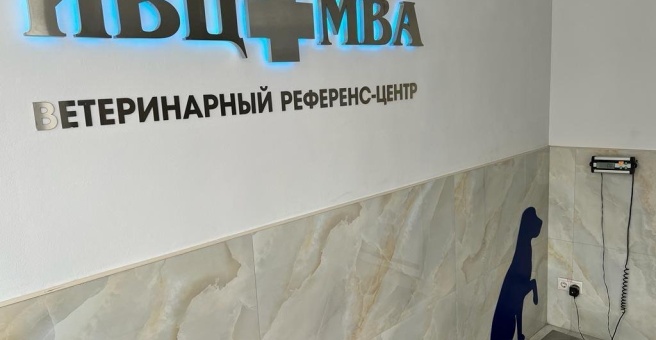 Ивц мва мичуринский просп 8