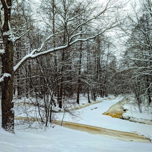 Фото от владельца Дубки, парк культуры и отдыха