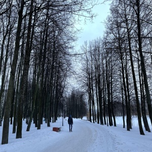 Фото от владельца Парк культуры и отдыха, г. Колпино