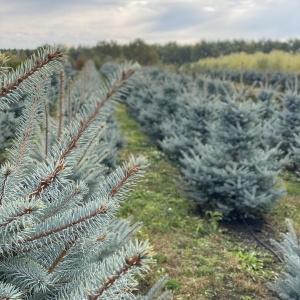 Фото от владельца Братья Green, группа компаний