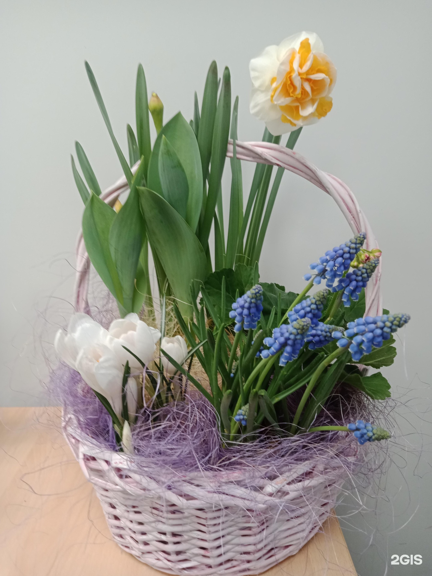 Цветы ул новая. Цветочный магазин бутоника. Бутоника самара официальный сайт. Цветы ул новая. Радужные розы самара.