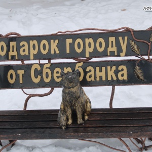 Фото от владельца Центральный парк культуры и отдыха им. Ю.А. Гагарина