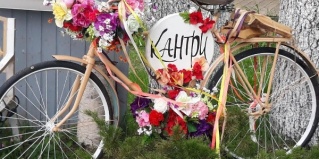 Сестрорецк: Турбаза Кантри