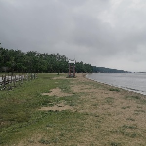 Фото от владельца Парк культуры и отдыха им. С.Лазо