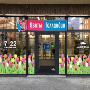 Фото от владельца Цветы Голландии, сеть складов-магазинов