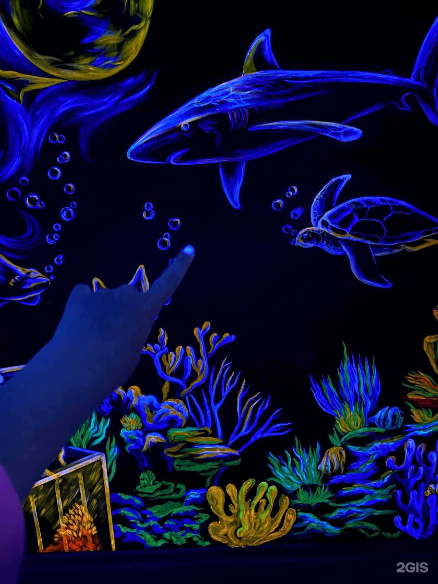 Океанариум discovery world. Океанариум Sochi Discovery World Aquarium. Sochi Discovery World Aquarium ул. Ленина, 219а/4, Сочи. Sochi Discovery World Aquarium открытки. Аквариум (океанариум, Стамбул).
