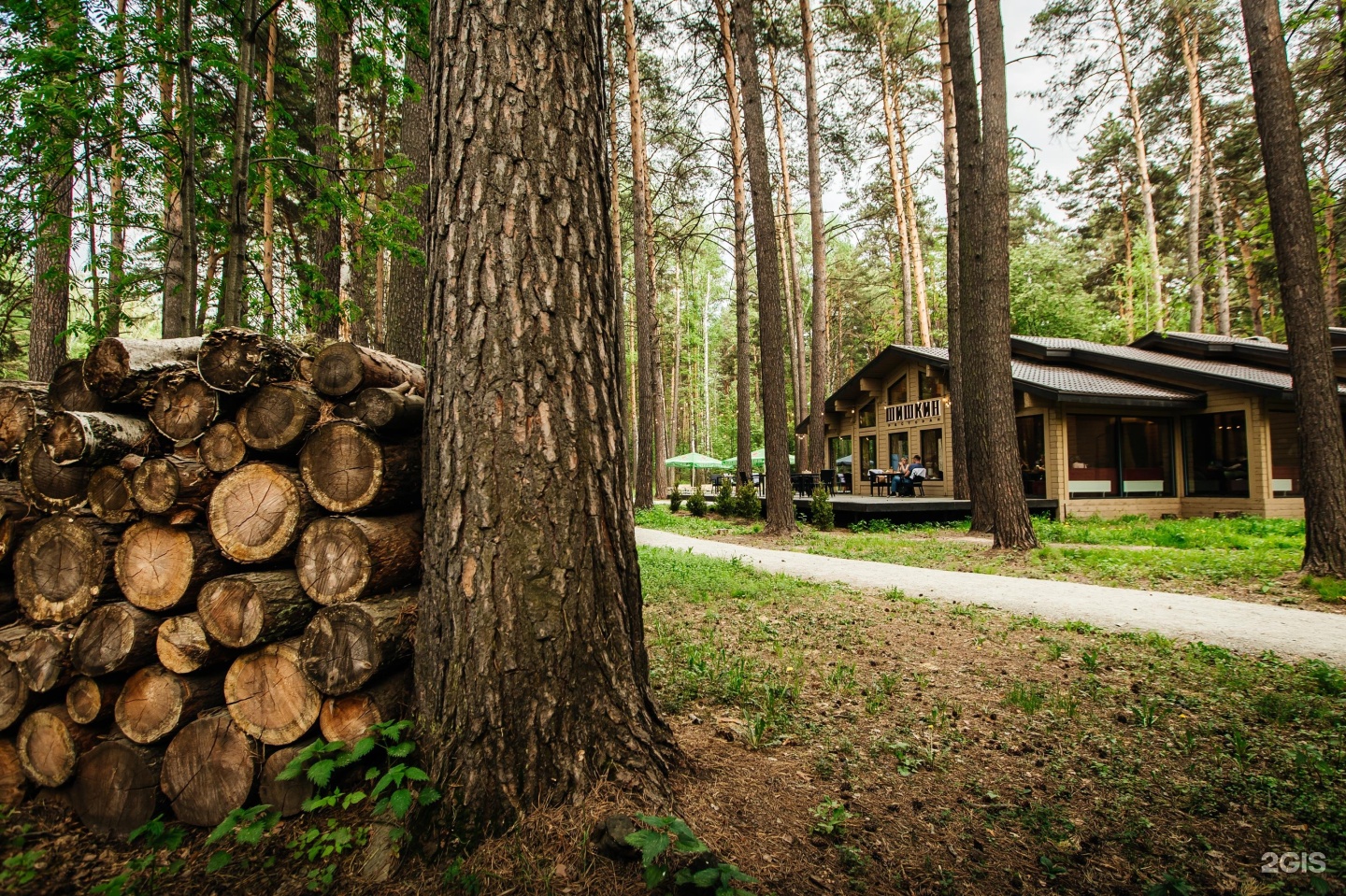 Дачи Мочище Купить Новосибирск Снт