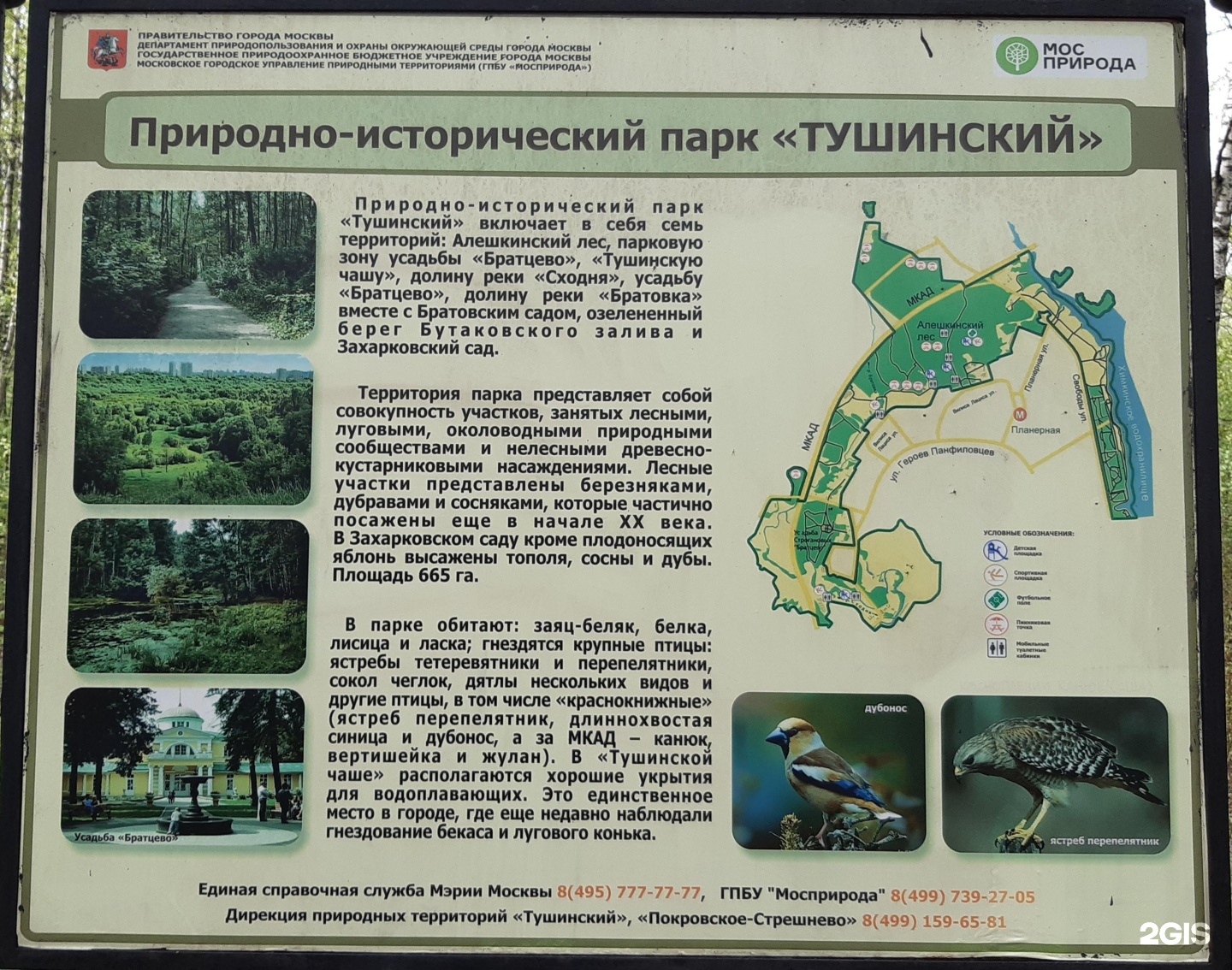 Остров алешкинский на карте