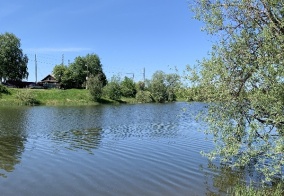 Коттедж Добрыня в Тобольске