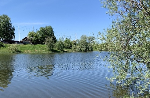 Тобольск: Коттедж Добрыня