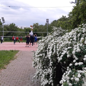 Фото от владельца Северное Тушино, музейно-парковый комплекс