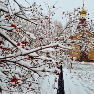 Фото от владельца Храм Воскресения Христова