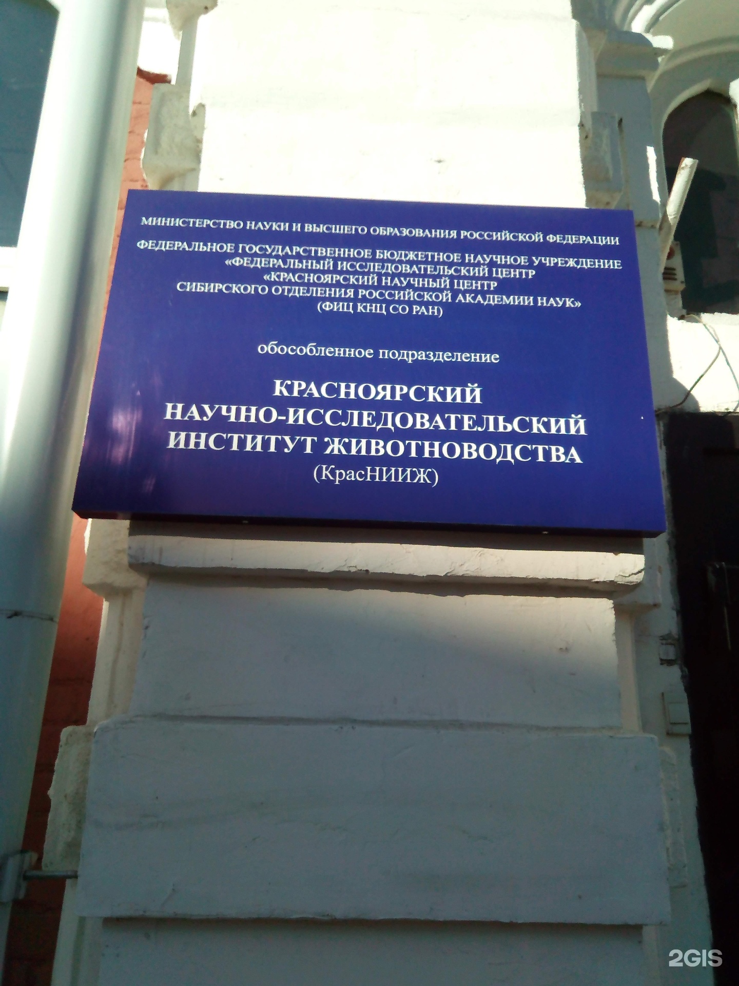 В. Красноярский научно исследовательский институт. Сфу торгово-экономический институт. Институту леса им. Красноярский научно исследовательский институт.