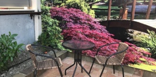 Адлер: Гостевой дом Villa орхидея