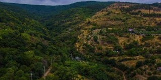 Сабнова: Отель Апельсин