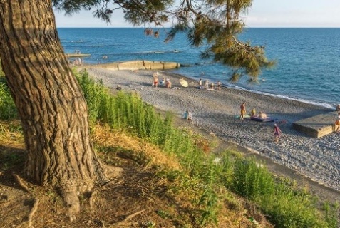 Сочи: Отель Империя