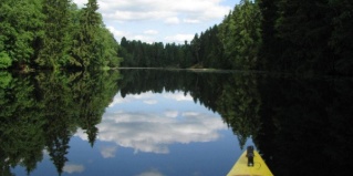 Вырица: Турбаза Вырицкие Тарханы