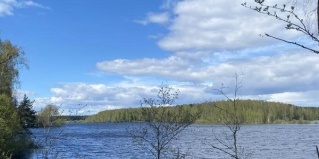 Ножовники: Отель Брейтово