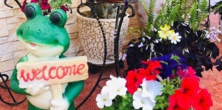 Адлер: Гостевой дом Гуля