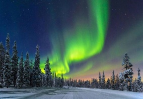 Турбаза Forrest в Мурманской области