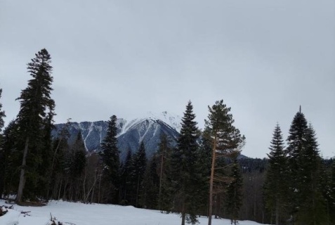 Архыз: Гостевой дом Хурмет