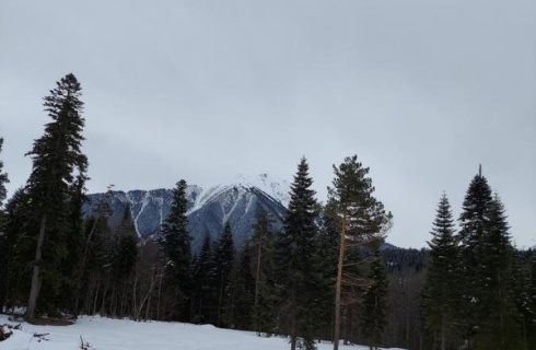 с. Архыз: Гостевой дом Хурмет