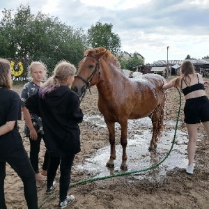 Фото от владельца Каприоль, конный клуб