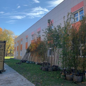 Фото от владельца Городской садовник