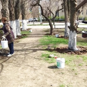 Фото от владельца Центральный стадион, МУП