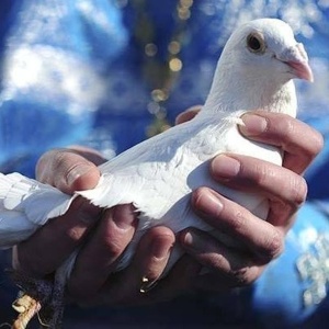 Фото от владельца Агентство путешествий Бурцевой О.В.