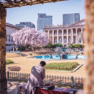 Фото от владельца KOREAN AIR, авиакомпания