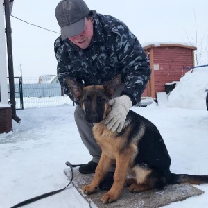 Фото от владельца Унисоб, кинологический центр