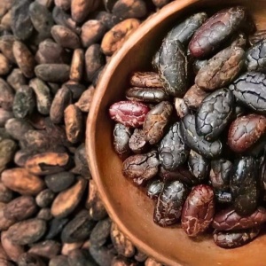 Фото от владельца Cacao Cow, магазин натуральных продуктов
