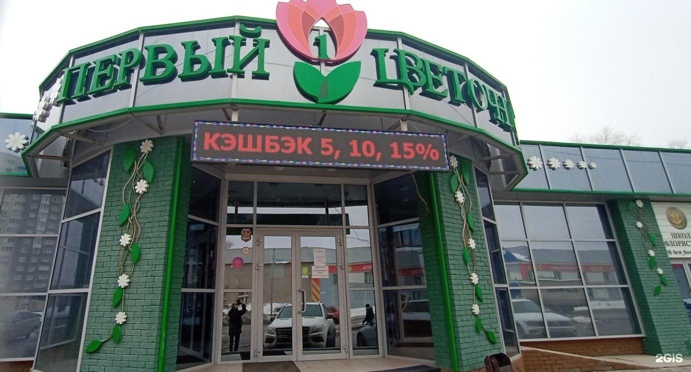 Дальний 45 оренбург. Улица цветочная оренбург. Фейерверки 123 пли, оренбург, 16-я линия. Цветочный рай магазин цветов. Оренбург цветущие клусбы.