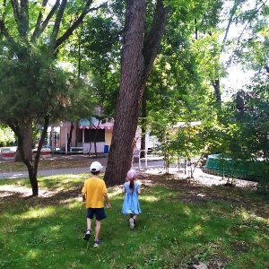 Фото от владельца Чистяковская роща, парк культуры и отдыха