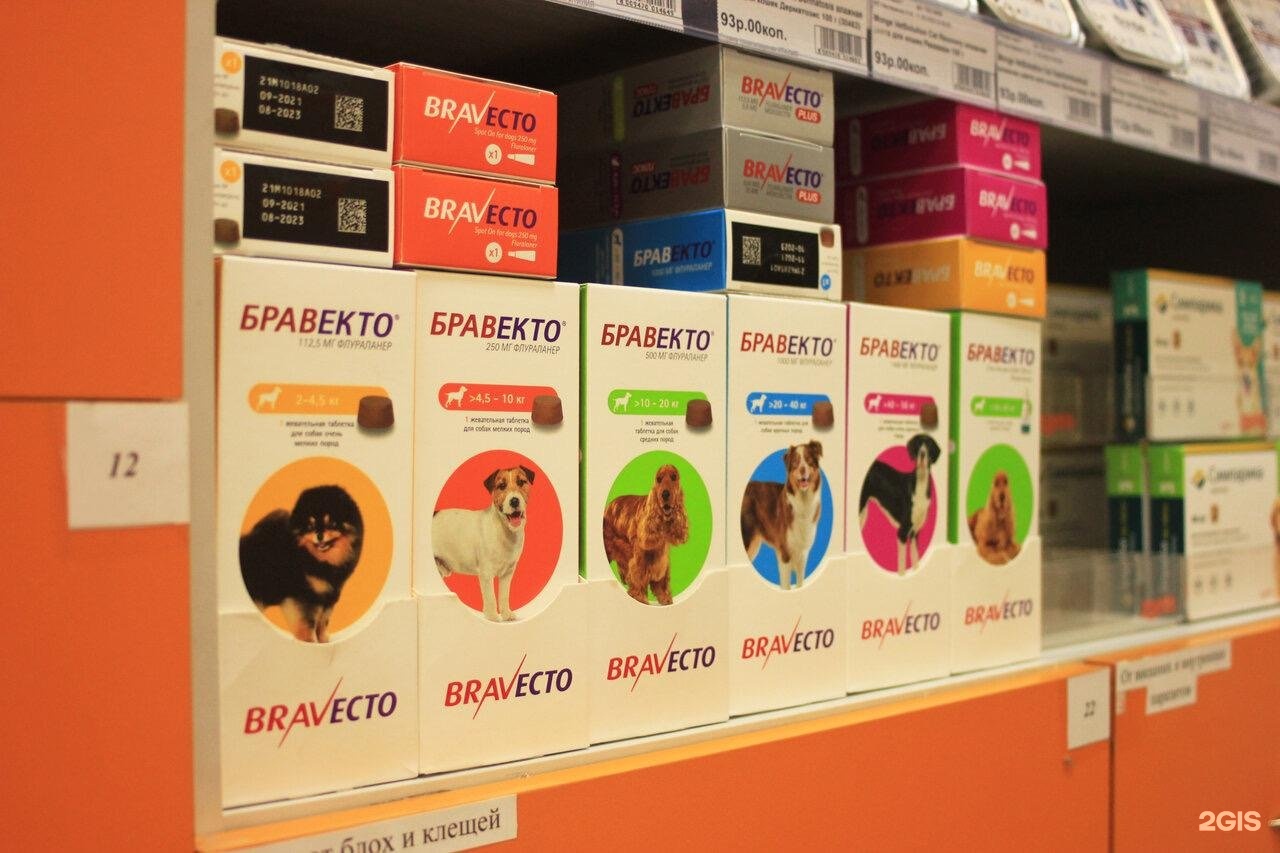 рыжий хвост зоомагазин